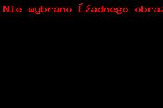Mercedes-Benz O628 II #5653