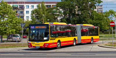 Sieć autobusowa