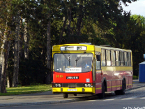 Jelcz 120MM #9019