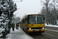 Ikarus 280.26 #5303