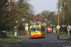 Jelcz MN120M #9501