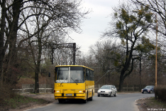 Autobusy 2008