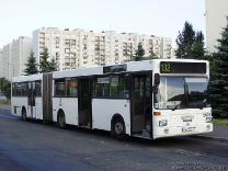 MAN SG242 #8603