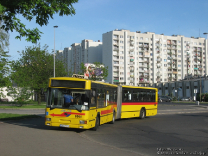 Jelcz M181M #8501