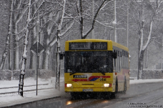Jelcz M121M #9541