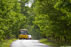 Neoplan N316L #706