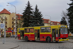 Jelcz 120MM/1 #9013