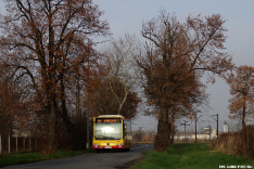 Mercedes-Benz O530 #7341