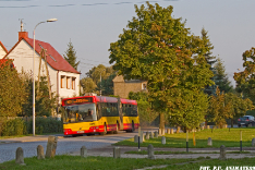 Volvo 7700A #8125
