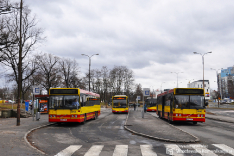 Volvo B10BLE6x2 #8033 & #8043
