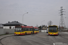 Volvo 7000A #8060 & Mercedes-Benz O530 #7337