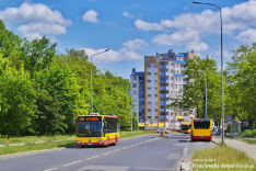 Mercedes-Benz O530 #7301
