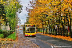 Mercedes-Benz O530 #7348