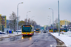 Mercedes-Benz O530G C2 #8519