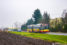 Autobusy 2021