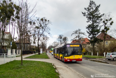 Solaris Urbino 18 #5608