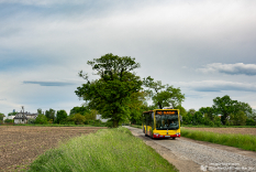 Mercedes-Benz O530 #7324