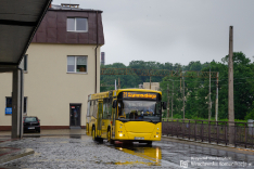Jelcz M101I/3 #164