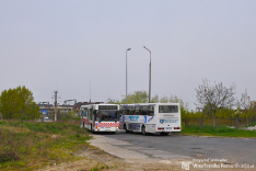 Komunikacja miejska w innych miastach