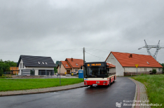 MAN NL263 #803
