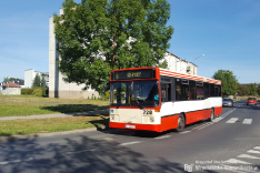 Komunikacja miejska w innych miastach