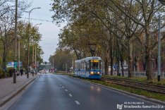 Wszystkich Świętych 2019