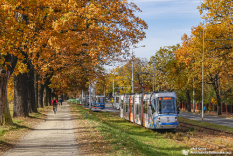 Wszystkich Świętych 2021