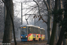Tramwaje 2008
