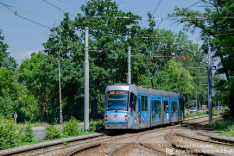 Tramwaje 2019