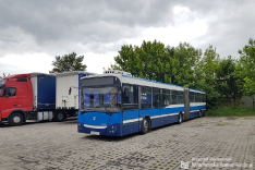 Jelcz M181MB/3 #551