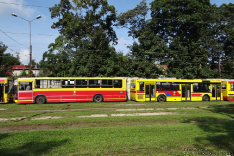 Jelcz M121M #9541 i Jelcz M121M #9540